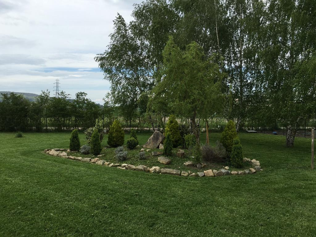 Chevrerie Des Oliviers Villa Saint-Georges-sur-Allier Buitenkant foto